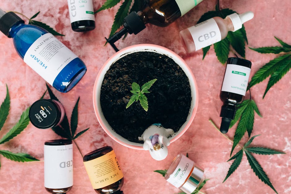 Vape Shop Prague: Premium THC, CBD, and E‑Liquid Products