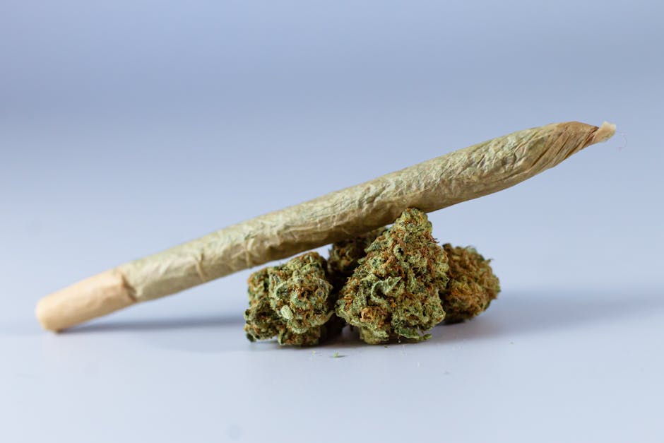 Welcome to the ultimate guide to buying THC‑infused chocolate and other cannabis products in Prague.