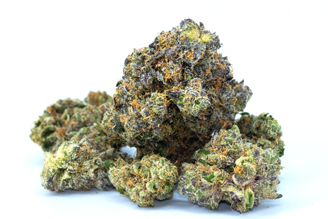 Prague’s Premier Destination for Premium THC Joints