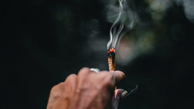 Prague has become a thriving hub for cannabis enthusiasts