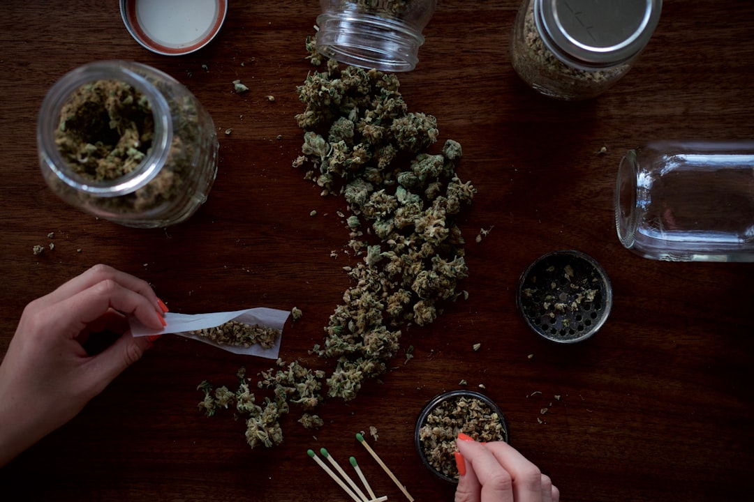 Prague Online Cannabis Delivery
