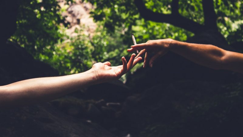 Prague Cannabis Shop Reliable Online Weed Delivery