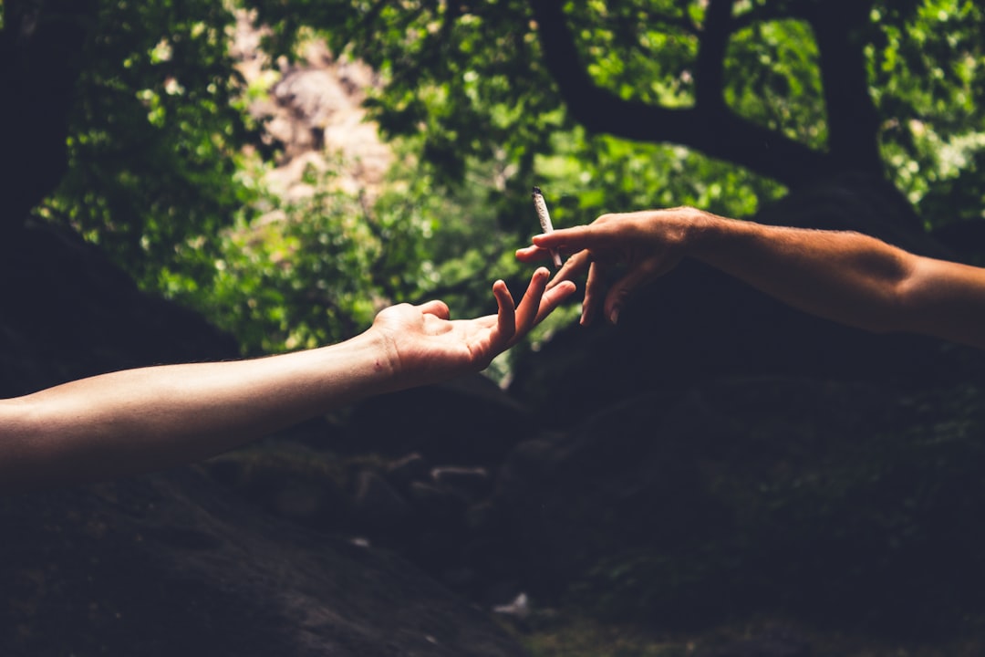 Prague Cannabis Shop Reliable Online Weed Delivery