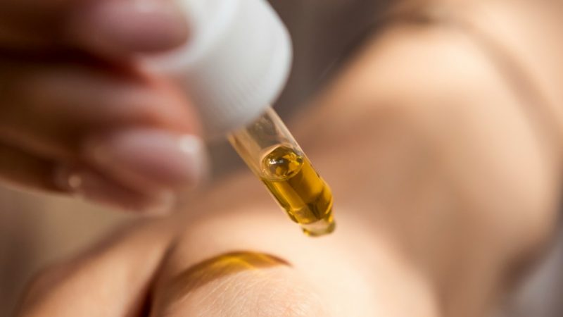 Prague Cannabis Dispensary: Same‑Day Delivery of THC Joints, Edibles, and Vaporizers