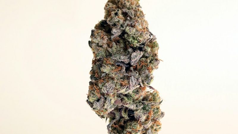 THC Joint Delivery Service in Prague