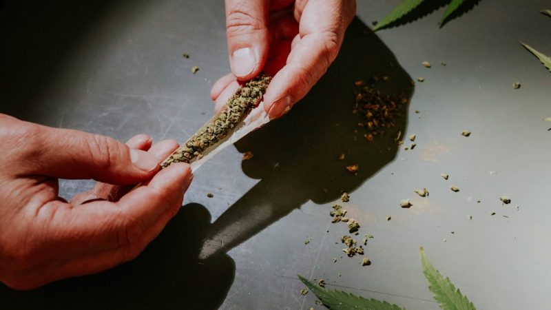 Prague cannabis delivery app