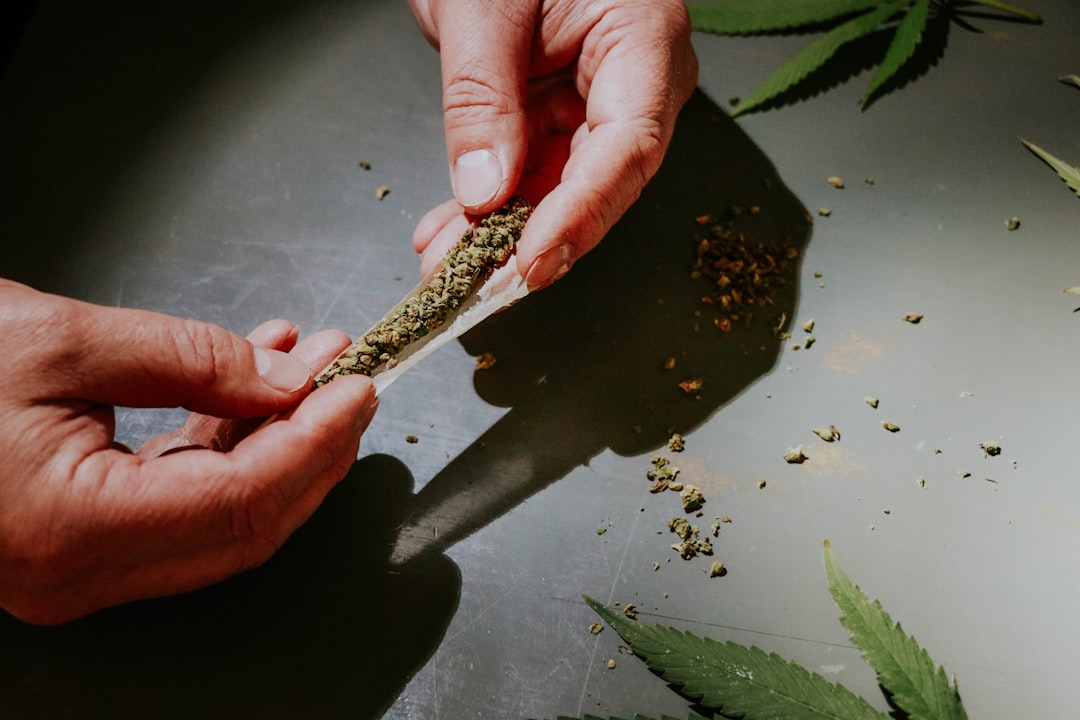 Prague cannabis delivery app