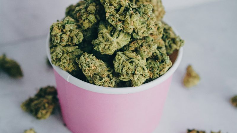 Official Online Vape Store in Prague: THC, Cannabis, and CBD Vapes