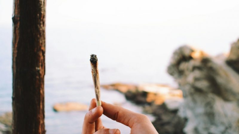 Best Weed Store Prague