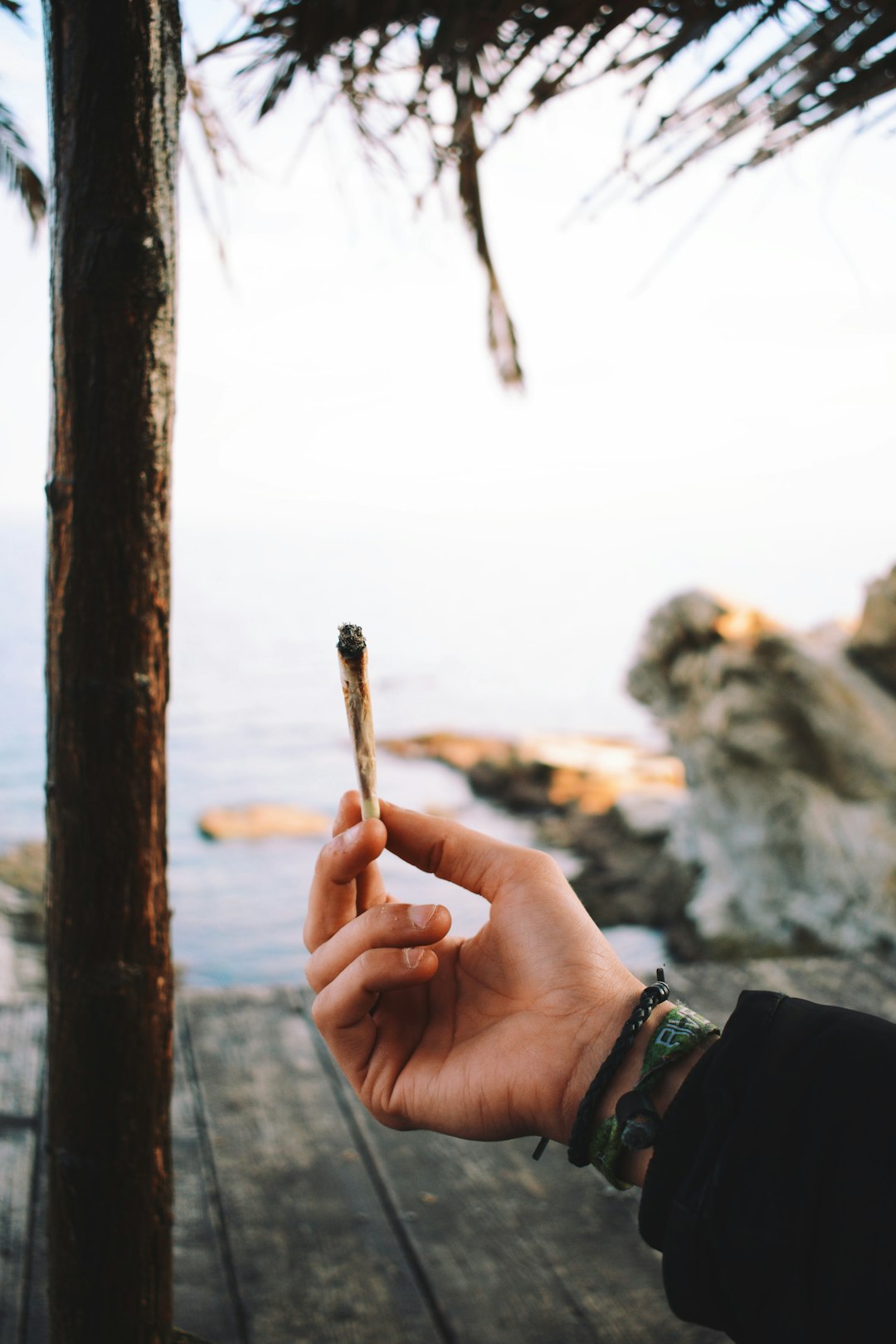 Best Weed Store Prague