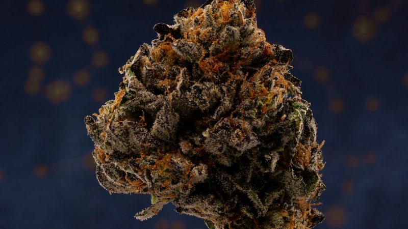 Prague Cannabis Shop – THC Chocolate, Hemp Edibles, and Delivery