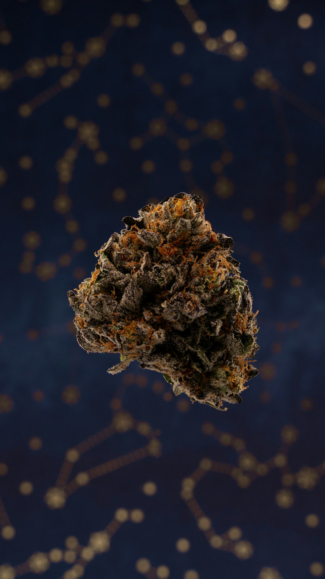 Prague Cannabis Shop – THC Chocolate, Hemp Edibles, and Delivery