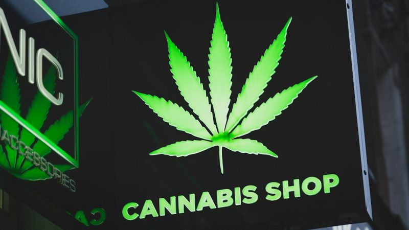 Prague THC Chocolate Shop