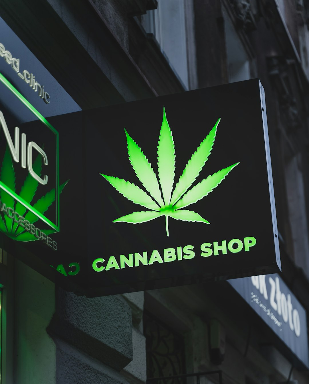 Prague THC Chocolate Shop