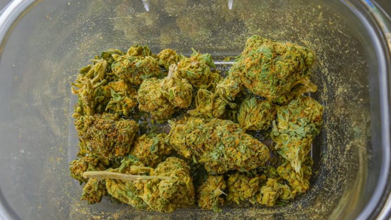 Prague weed shop