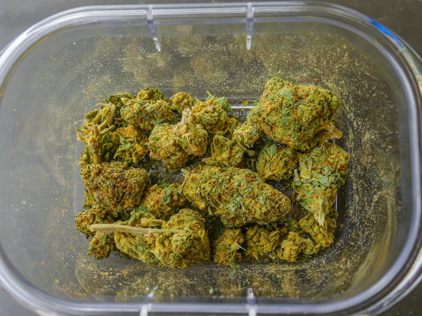 Prague weed shop