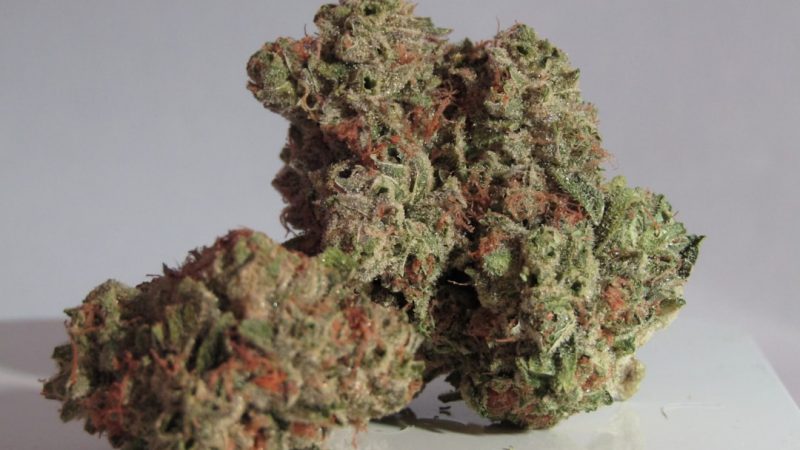 Welcome to the ultimate guide for anyone looking to explore the world of THC vape and cannabis vape in the heart of the Czech Republic