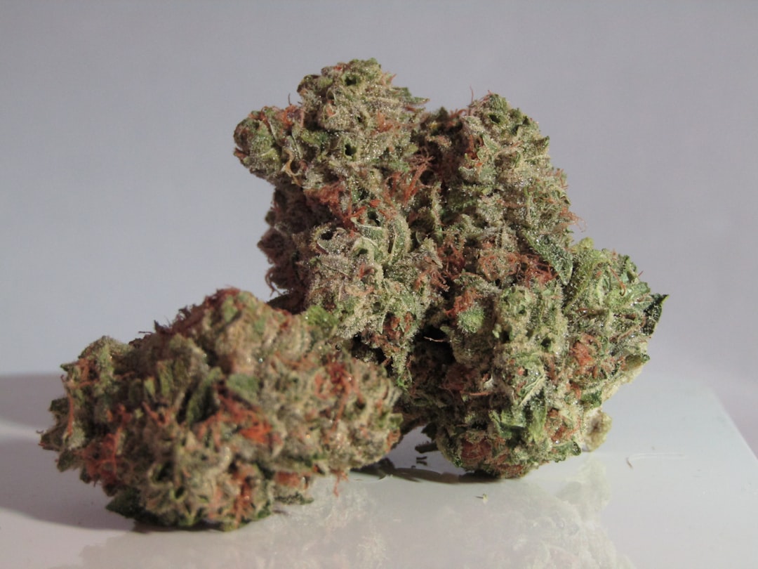 Welcome to the ultimate guide for anyone looking to explore the world of THC vape and cannabis vape in the heart of the Czech Republic