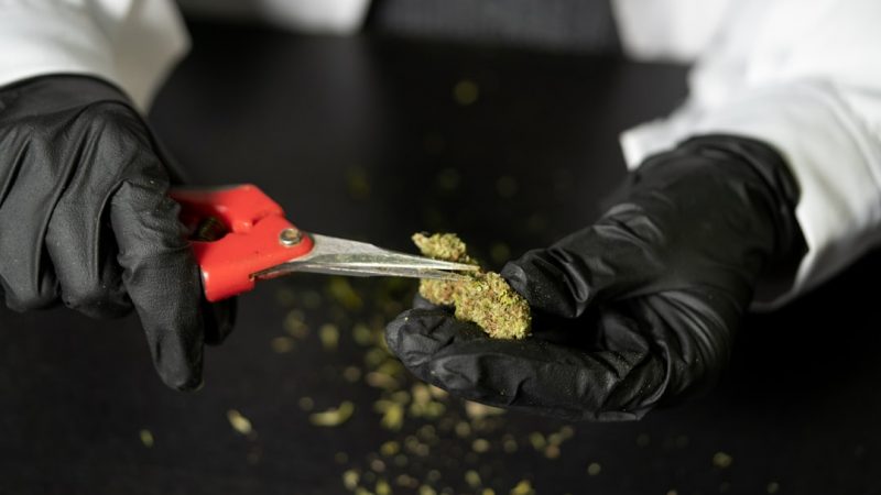 Prague Vape Shop: Your One-Stop Source for THC Vape and Cannabis Products