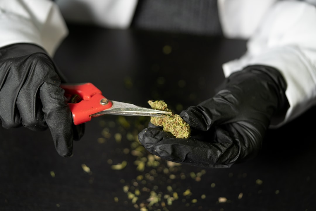 Prague Vape Shop: Your One-Stop Source for THC Vape and Cannabis Products