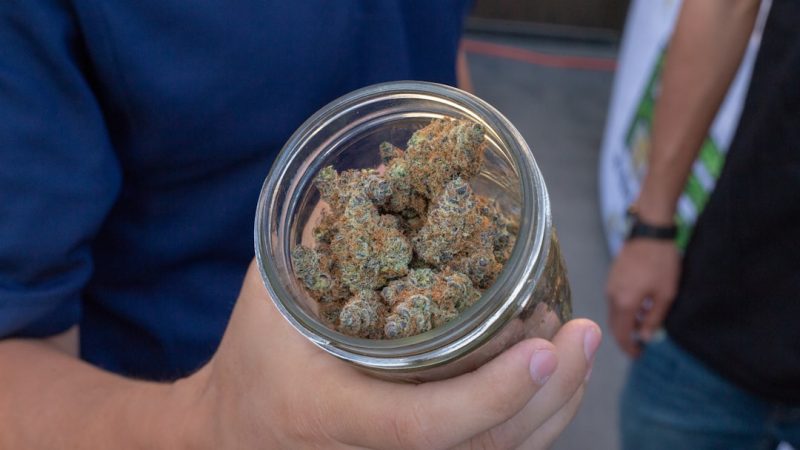 Welcome to Prague’s premier THC chocolate shop
