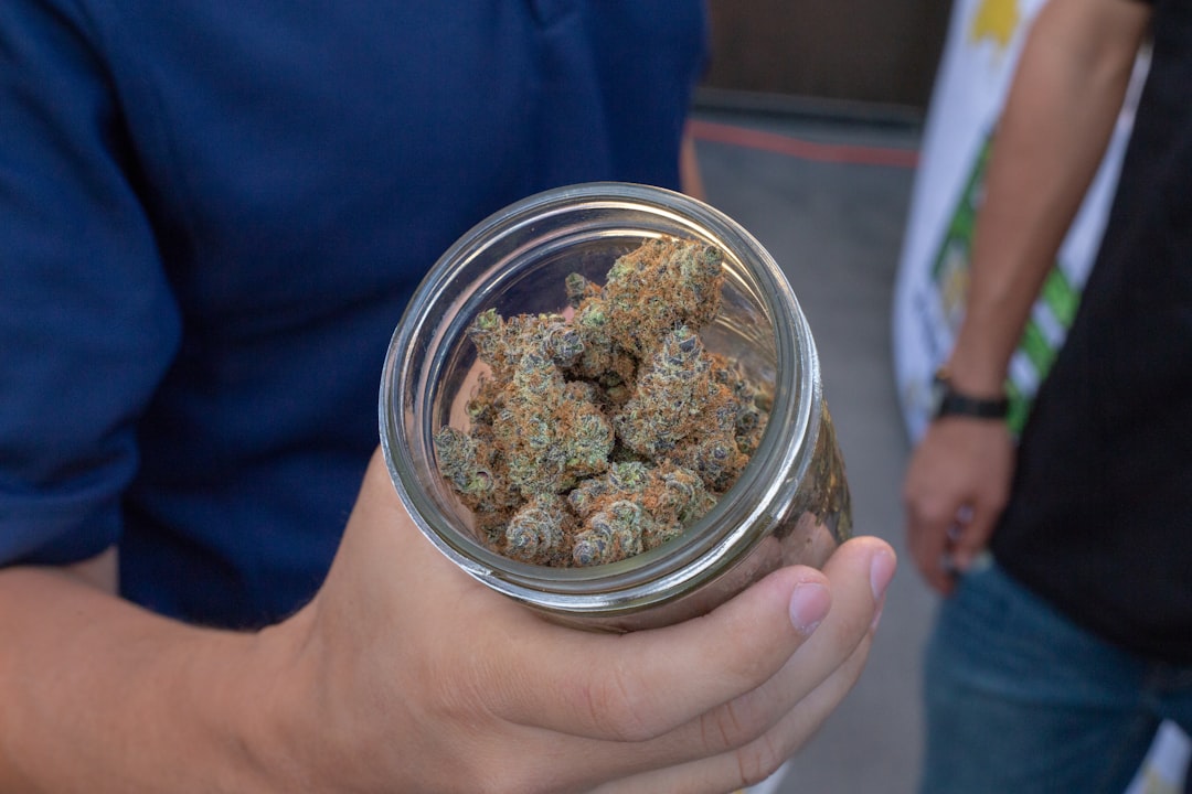 Welcome to Prague’s premier THC chocolate shop