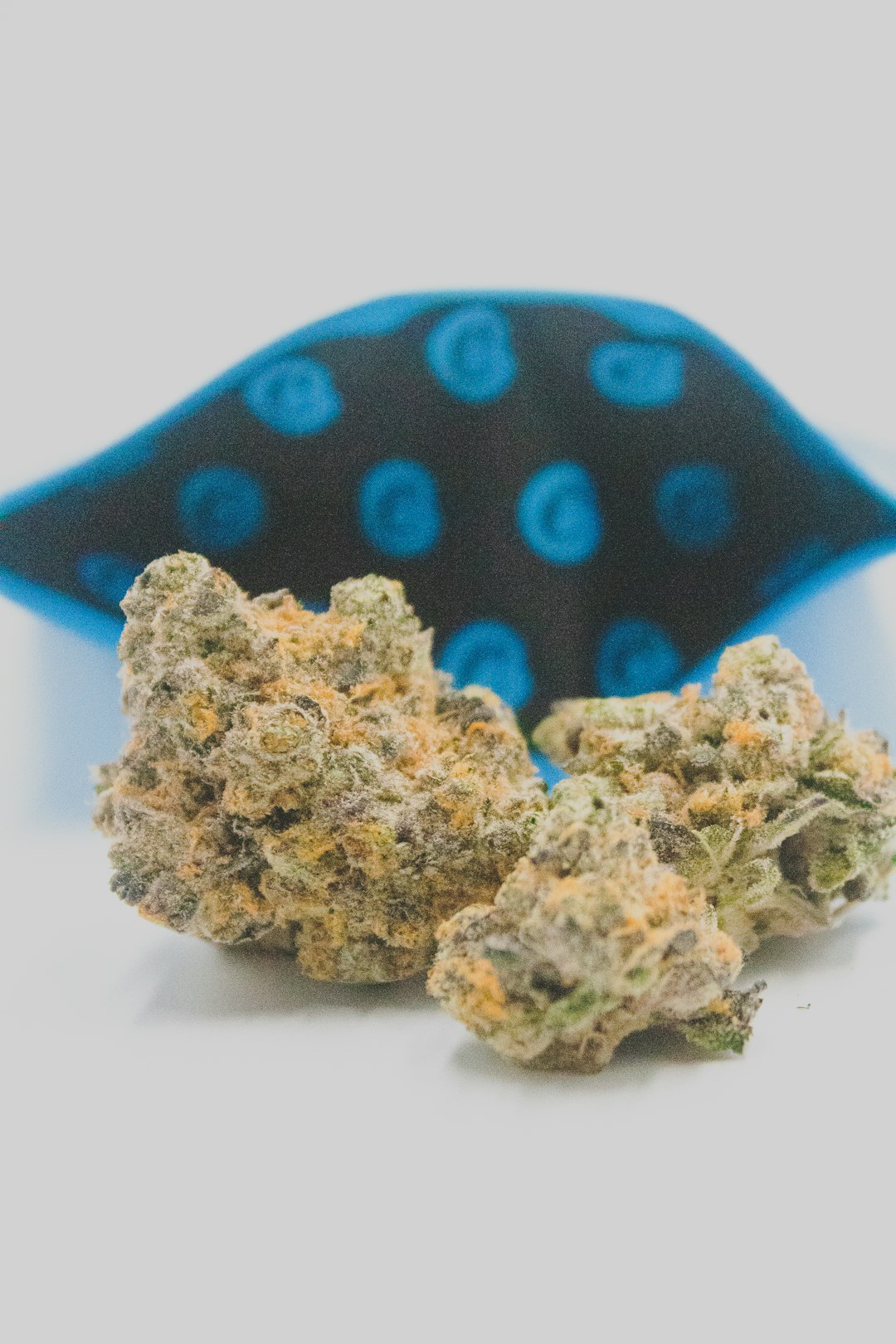 Prague Weed Delivery: Fast, Discreet, and Legal
