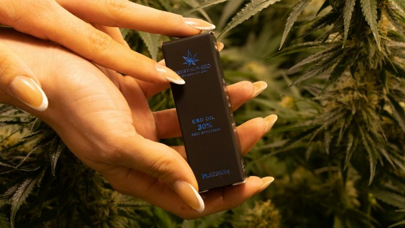 Czech Cannabis Delivery Prague