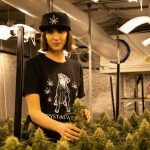 Welcome to the premier marijuana shop in Prague’s historic New Town img-2297.jpg