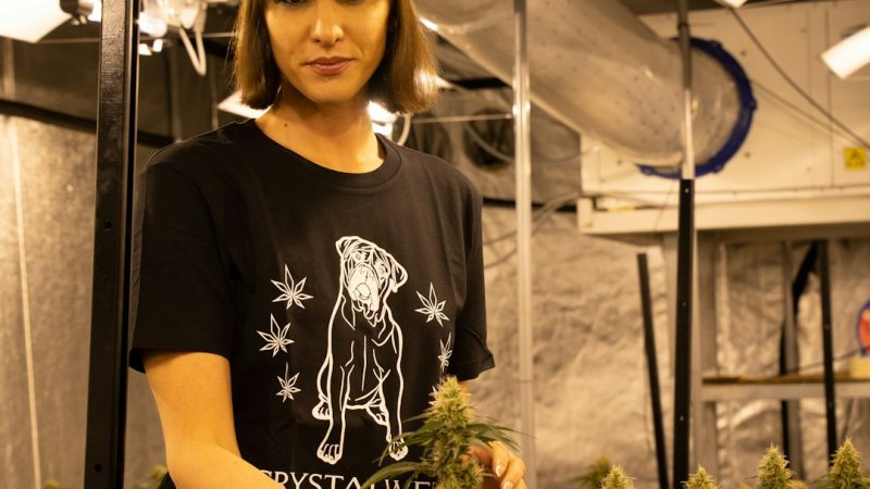 Welcome to the premier marijuana shop in Prague’s historic New Town