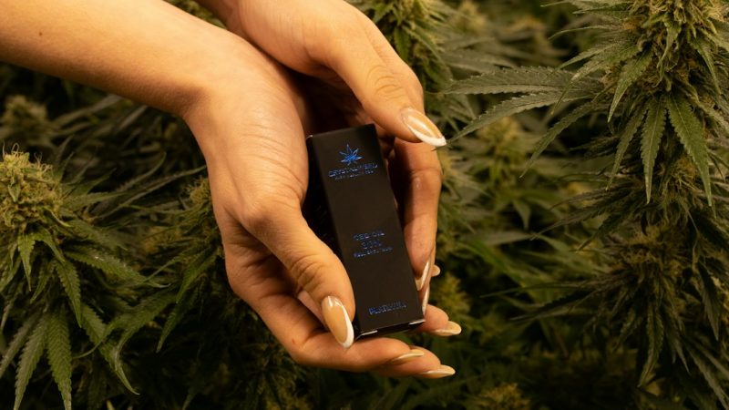 Prague has become a vibrant hub for cannabis enthusiasts