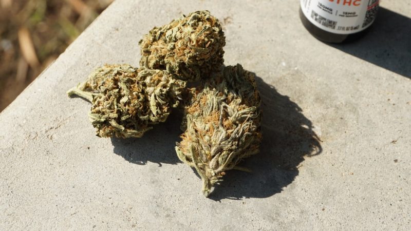 Premium Cannabis in Prague: THC, CBD, and Edibles