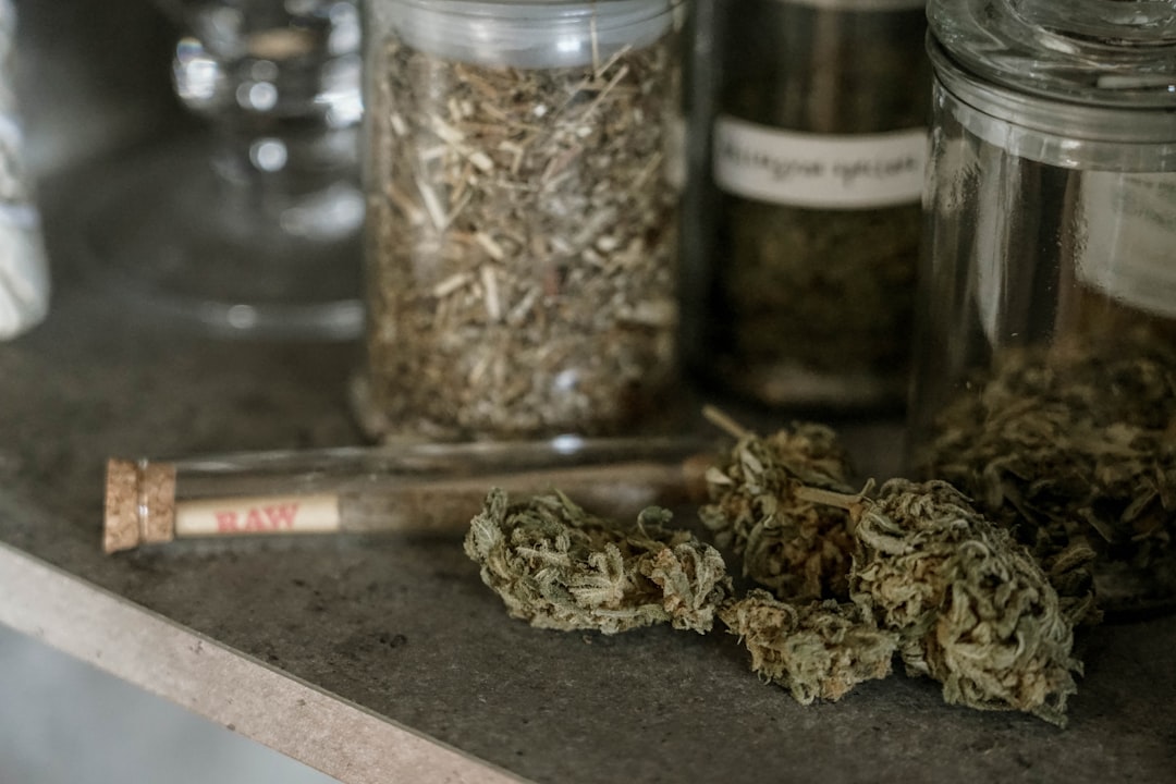 Welcome to the future of hemp and cannabis retail in Prague