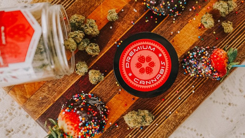Prague Cannabis Culture: THC Chocolate Experience