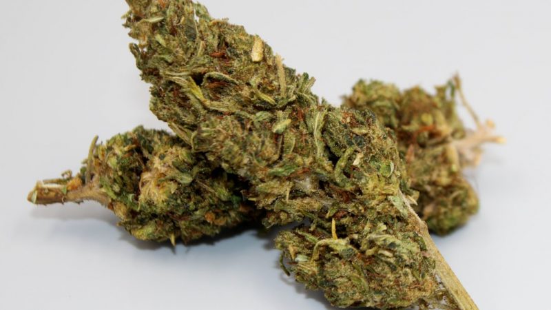 Welcome to the premier destination for THC joints and all things cannabis in Prague