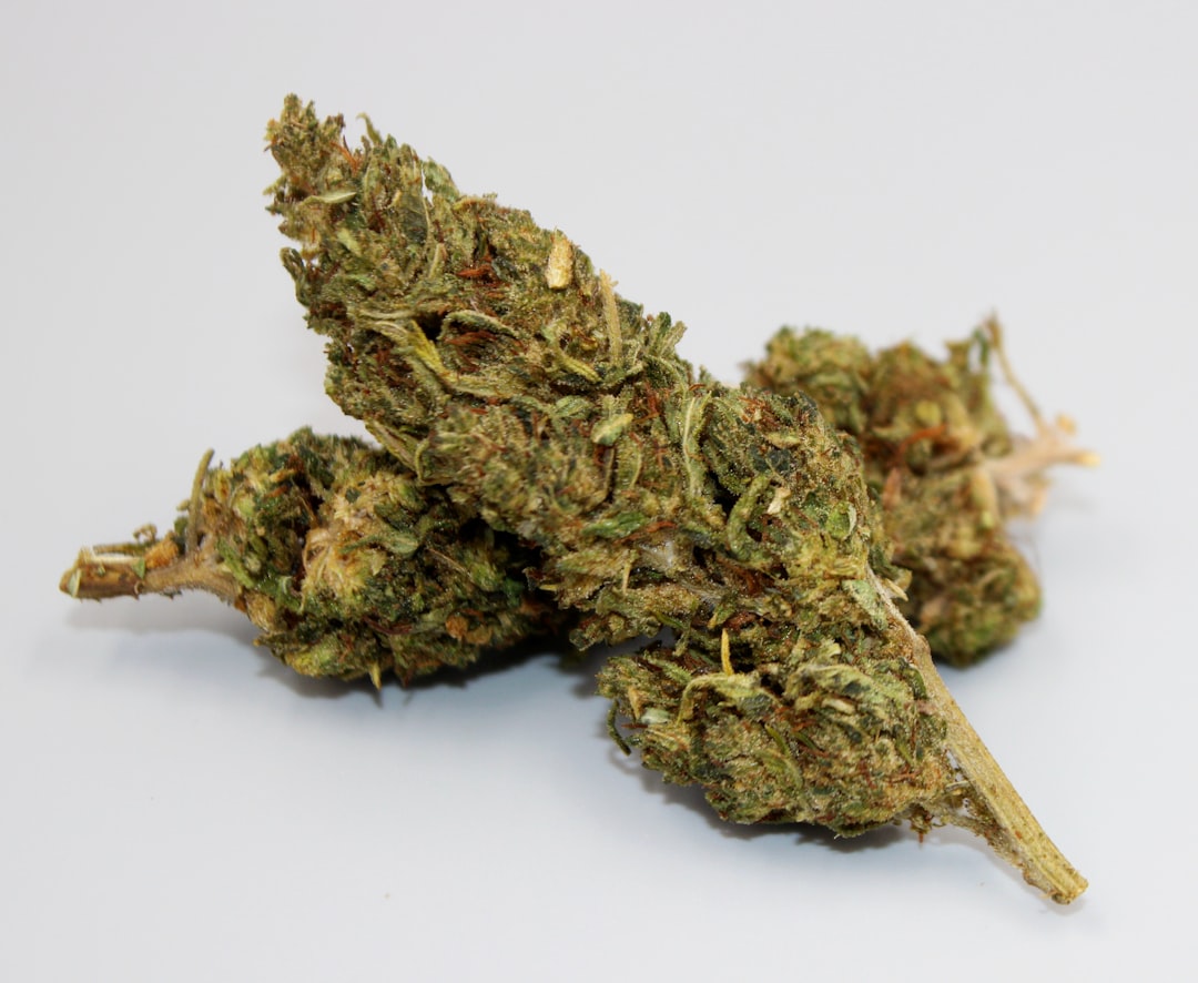 Welcome to the premier destination for THC joints and all things cannabis in Prague