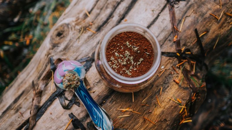 New Town (Nové Město) in Prague has become a vibrant center for cannabis enthusiasts, growers, and researchers alike