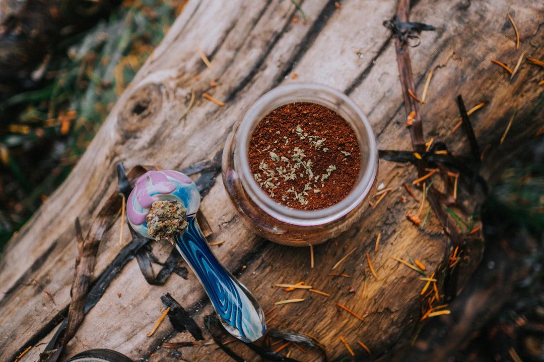 New Town (Nové Město) in Prague has become a vibrant center for cannabis enthusiasts, growers, and researchers alike