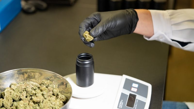 Cannabis Delivery Prague: Reliable, Discreet, and Affordable