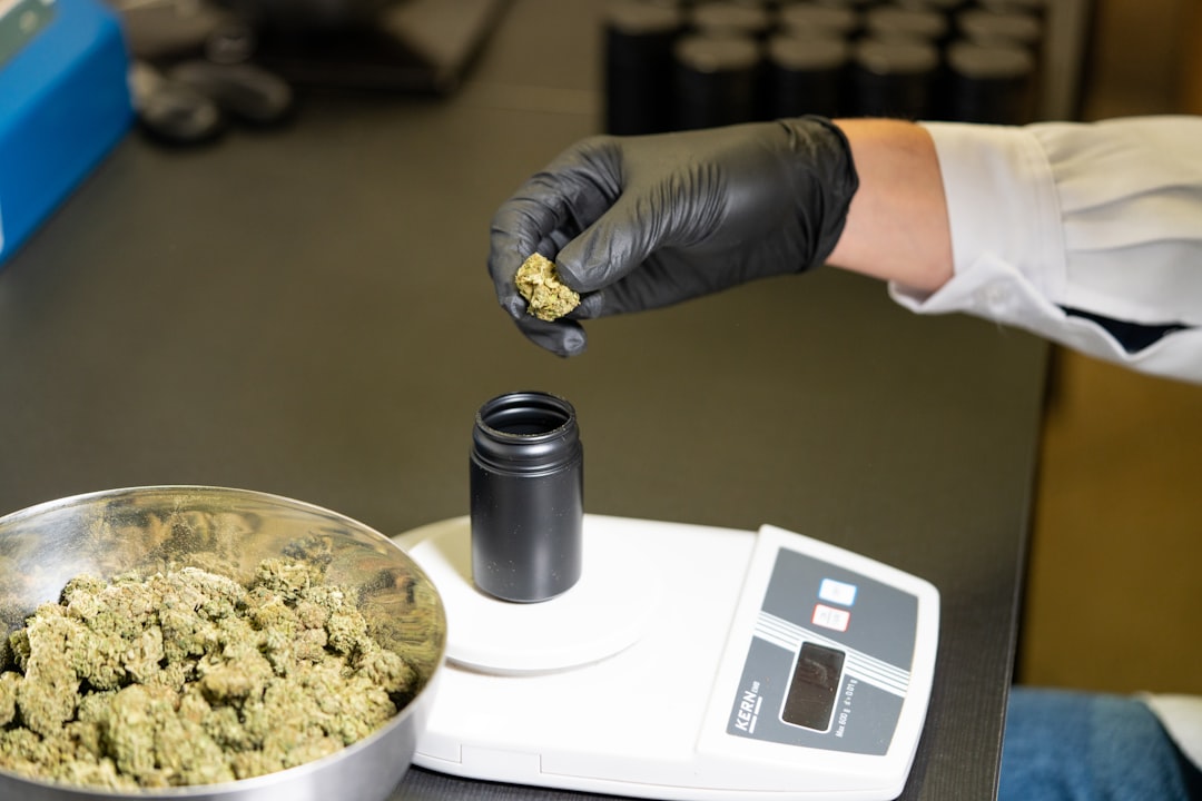 Cannabis Delivery Prague: Reliable, Discreet, and Affordable