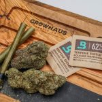 Prague’s Green Spaces: Municipal Weed Program and Cannabis Sales img-2546.jpg