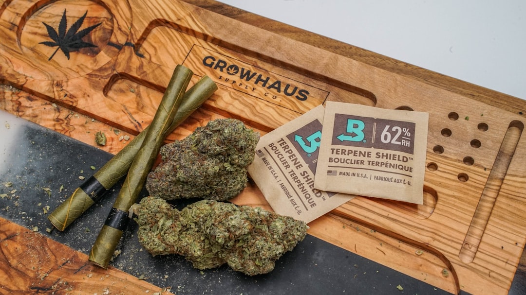 Prague’s Green Spaces: Municipal Weed Program and Cannabis Sales