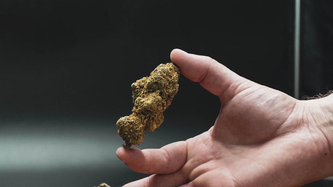 Prague is rapidly becoming one of Europe’s most vibrant cannabis destinations