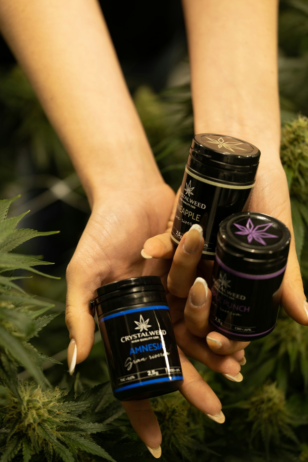 Prague Cannabis Shop