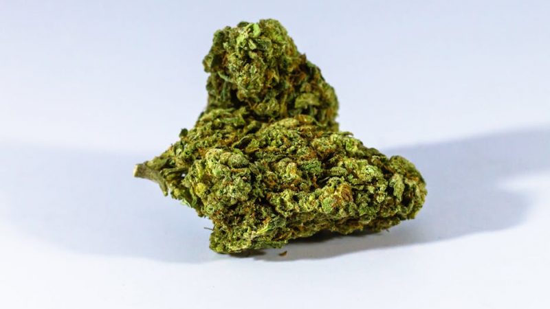 Cannabis Dispenser in Prague: Transparent Pricing, Quality Products, and Convenient Ordering
