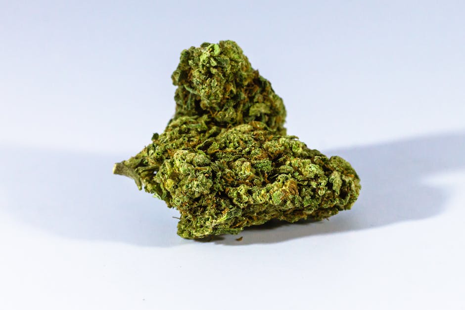 Cannabis Dispenser in Prague: Transparent Pricing, Quality Products, and Convenient Ordering