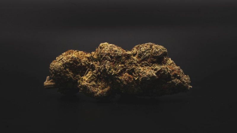 Prague has become a vibrant hub for cannabis enthusiasts, blending its rich history with a modern, legal cannabis scene