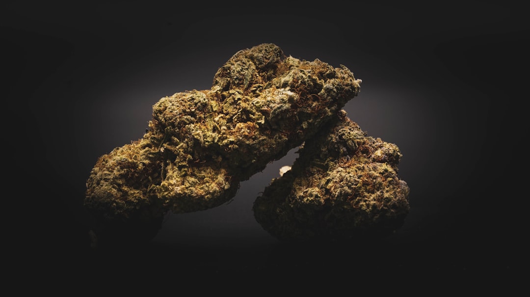 Welcome to the ultimate hemp shop experience in the heart of Prague