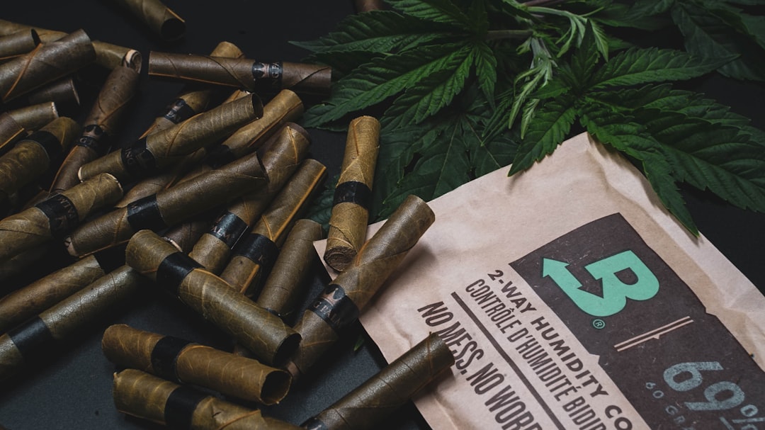 Hemp in Prague: A Guide for Travelers