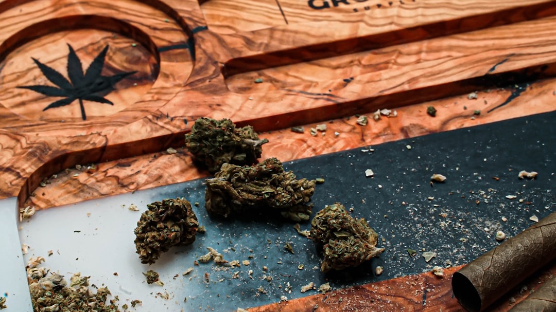 Looking for high‑quality THC Joints, Edibles, or Vape Products in the Heart of the Czech Republic?